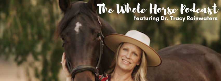 Episode 101 | Gracefully navigating transitions with our horses with Dr. Tracy Rainwaters